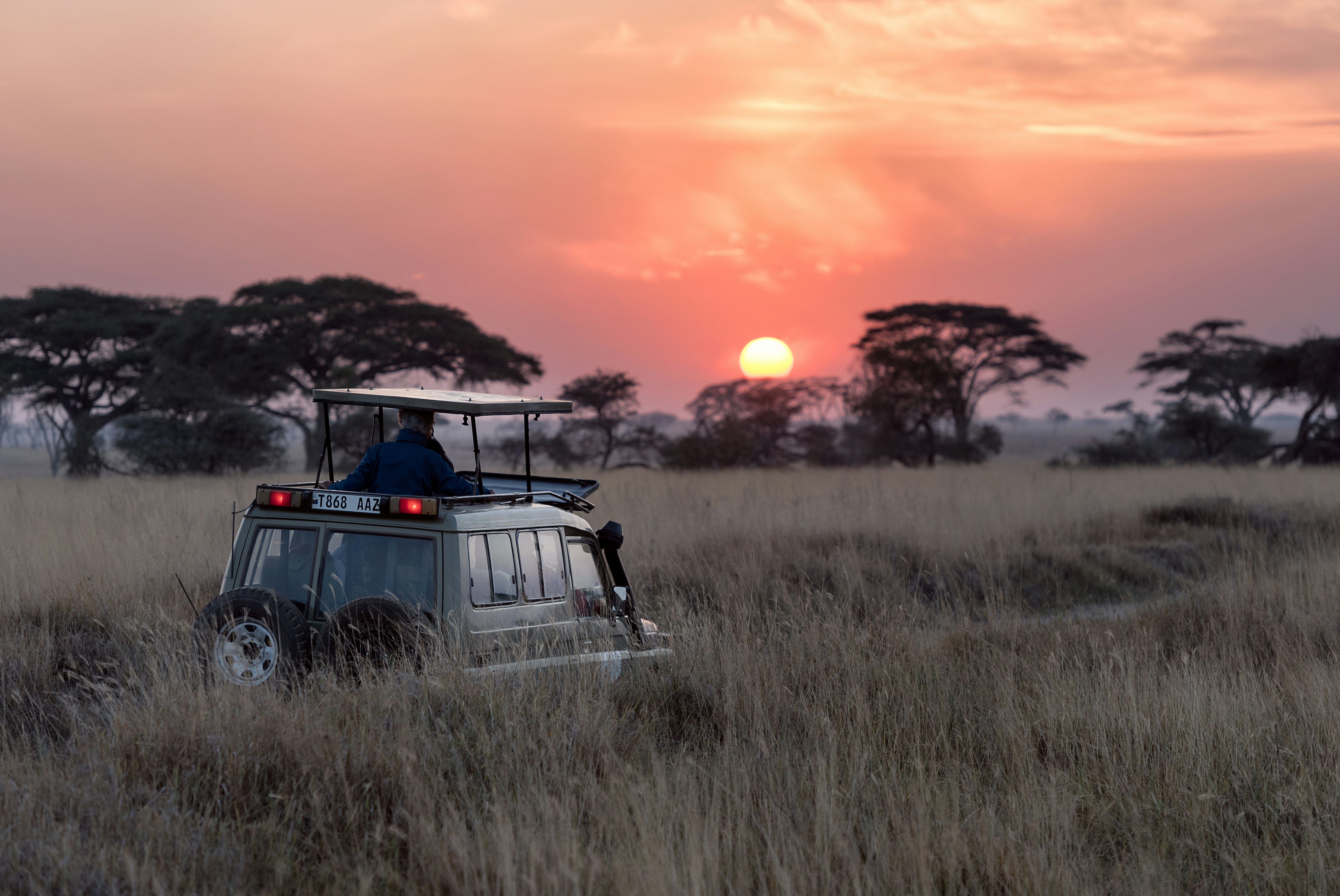 Luxury Safari